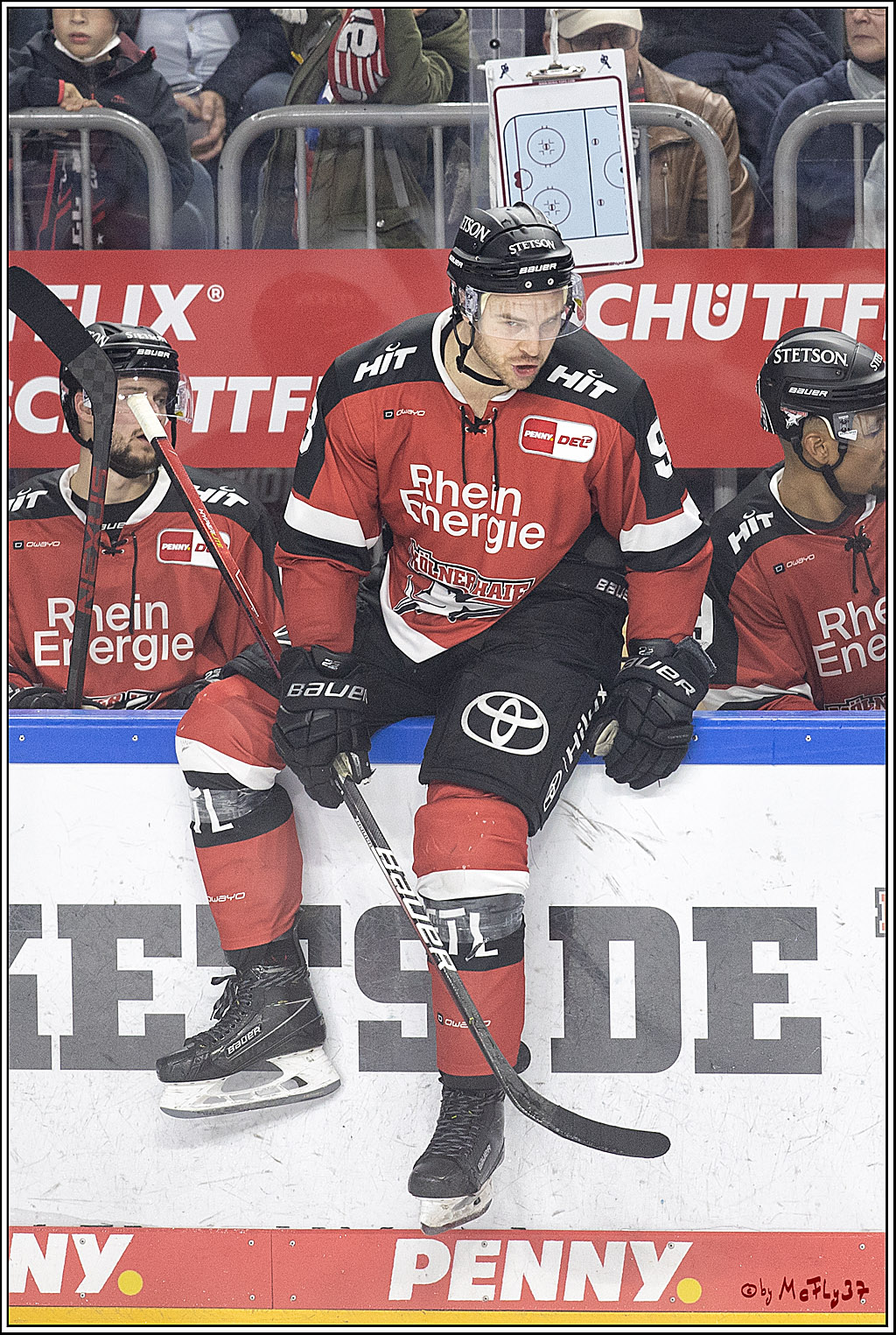 PENNY DEL;  Koelner Haie - Duesseldorfer EG; Koeln, 19.10.2021